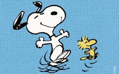 End of the first week…