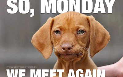 The Start of Week 2!