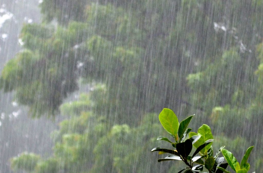 Update…Including the Weather