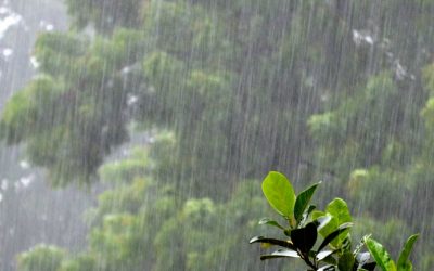 Update…Including the Weather