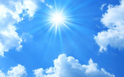 End of Half Term, Time for an Update!