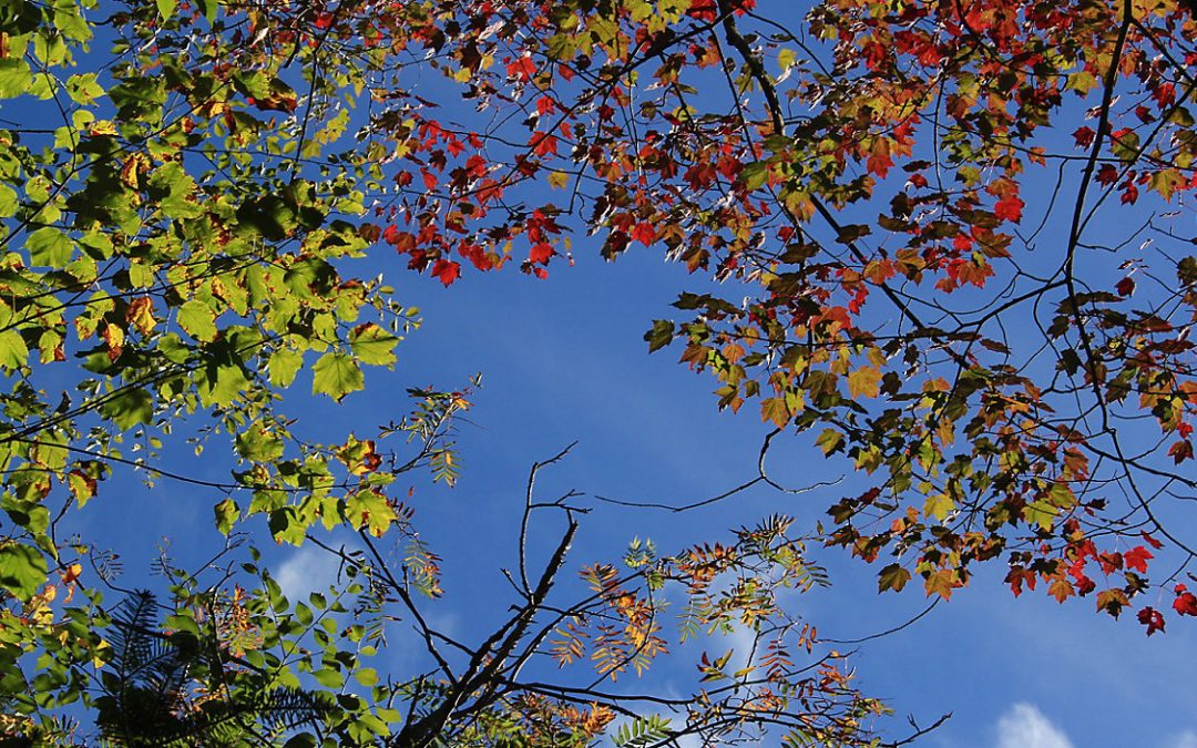 End of November Already…