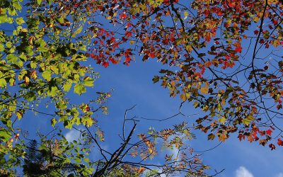 End of November Already…